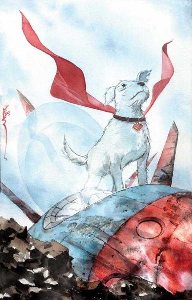 Krypto The Last Dog Of Krypton #1 (Of 5) Cover B Dustin Nguyen Card Stock Variant