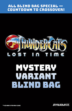 ThunderCats: Lost in Time #1