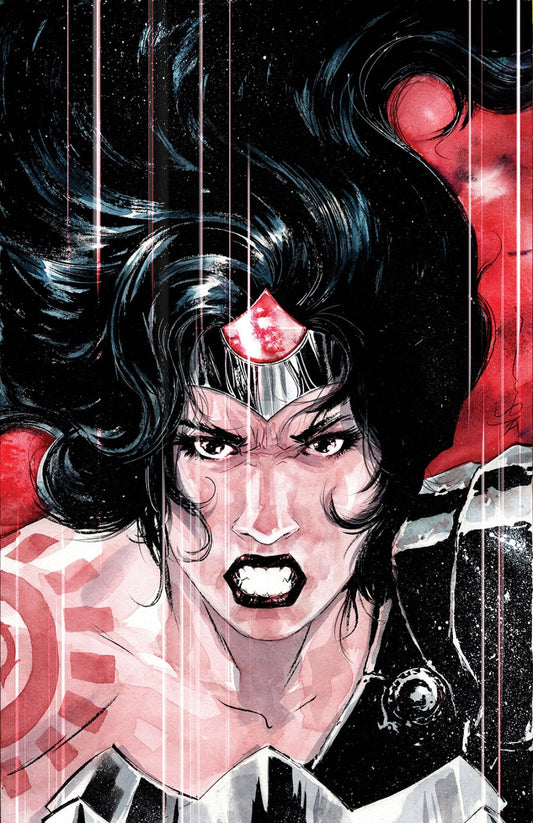 Absolute Wonder Woman #14 Cover D Dustin Nguyen Variant