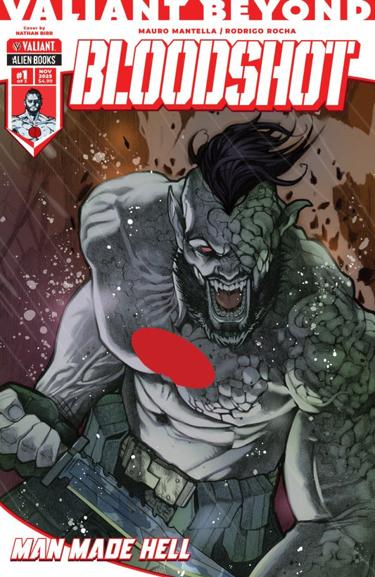 Valiant Beyond: Bloodshot #4 Cover C Nathan Birr Variant