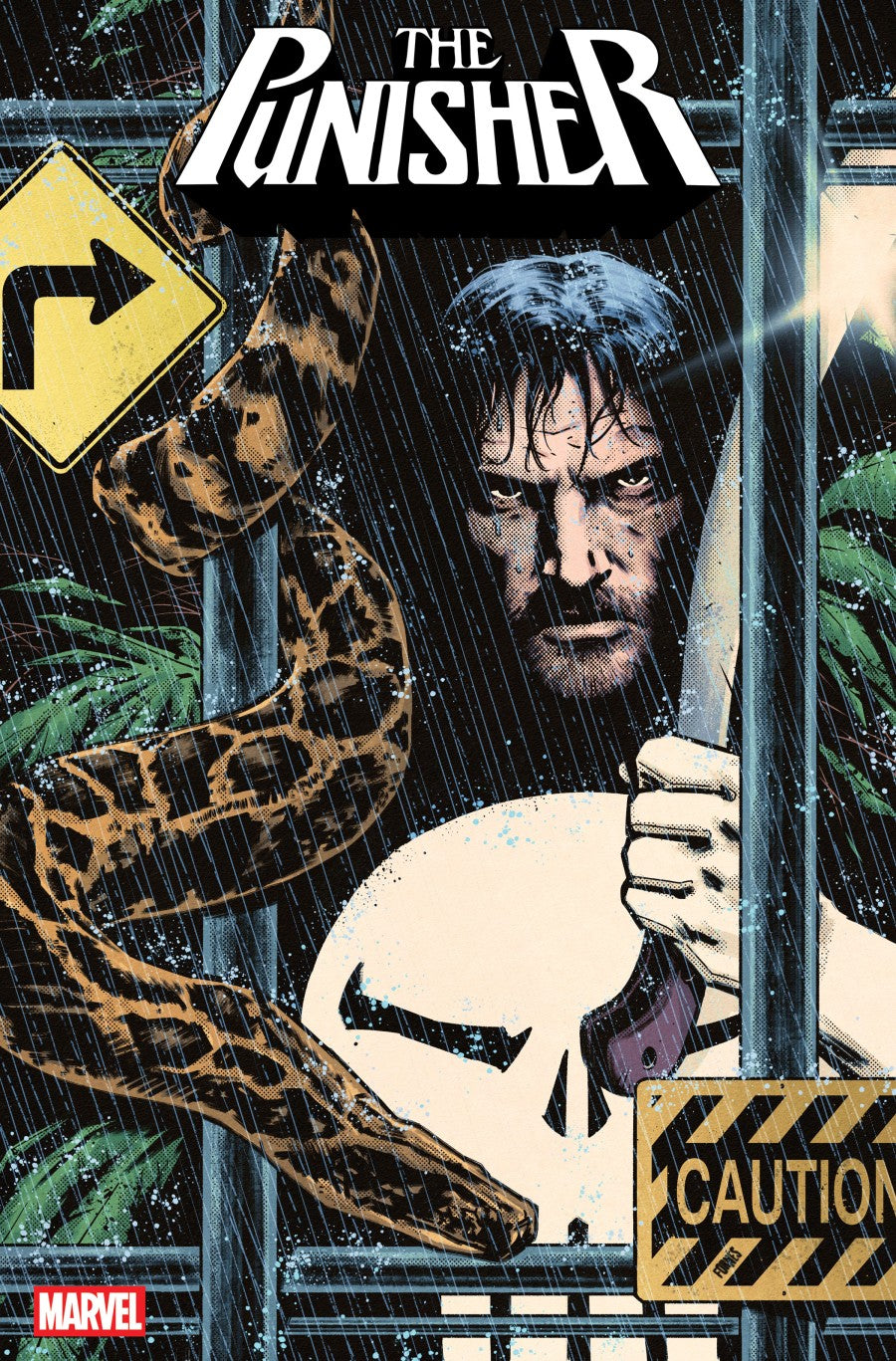 Punisher #11 Cover B Jorge Fornés Variant