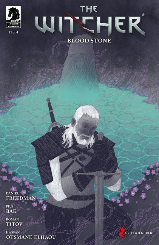 The Witcher: Blood Stone #1 Cover D Patrycja Podkoscielny Variant