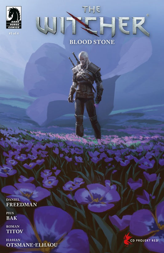 The Witcher: Blood Stone #1 Cover C Axel Sauerwald Variant