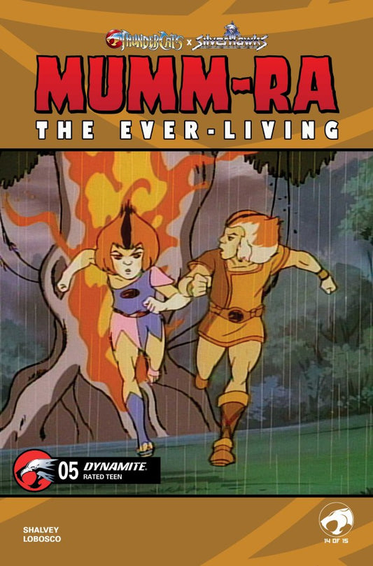 Mumm-Ra the Ever-Living #5 Cover E Animation Art Variant